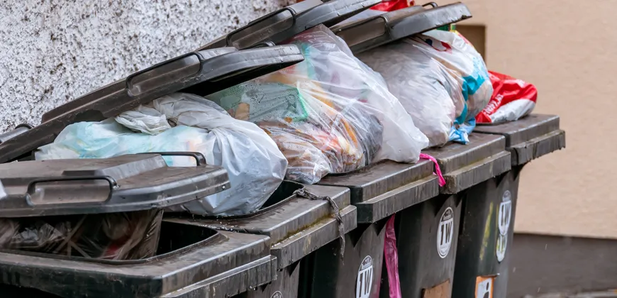Guest Speaker Series: Disrupting the Eco-Waste Industry