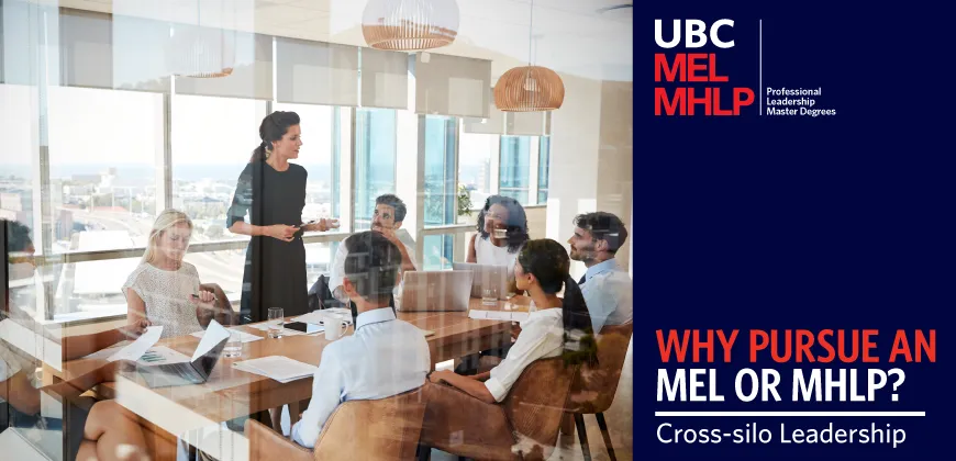 Becoming a cross-silo leader