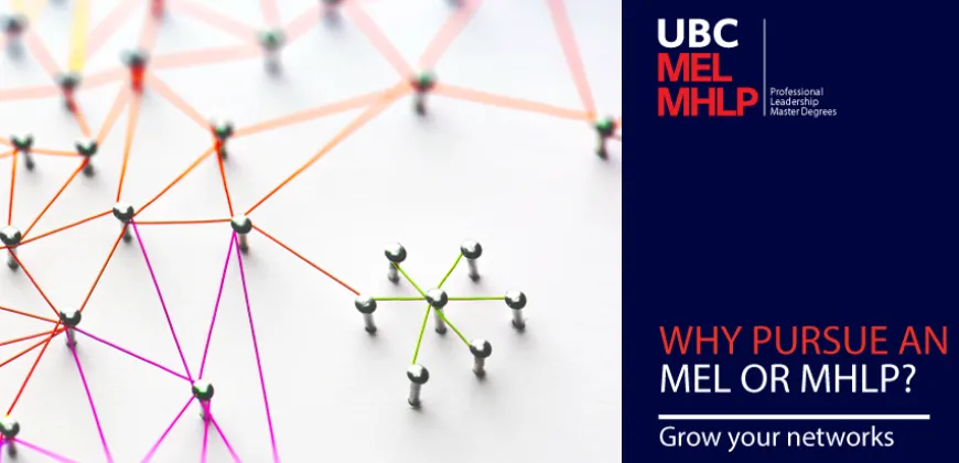 Grow your network to create opportunities