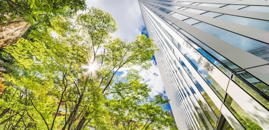 Student Research: Tsubasa Bolt - High Performance Buildings