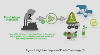 Student project diagram