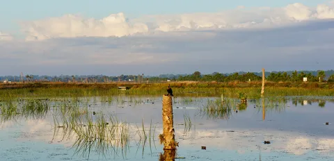 Guest Speaker Series: Role of Environmental Assessment Reports